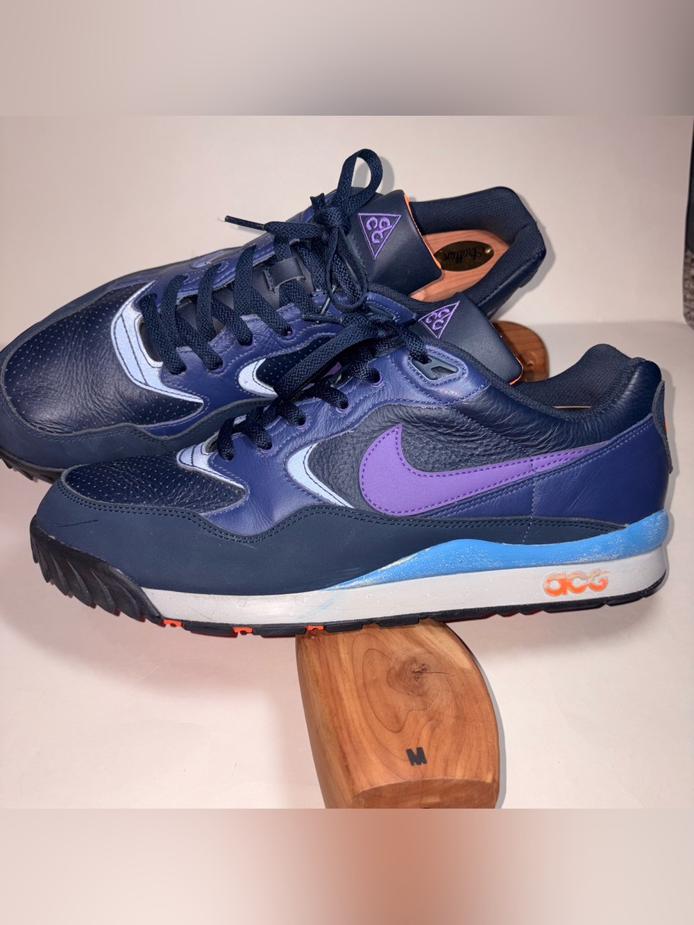 Vintage Nike ACG Air Wildwood LE Purple Venom/Obsidian Blue Men’s Size 13